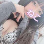 ヒメ日記 2026/01/04 19:57 投稿 ねこ 電マナイザー イラマチオン