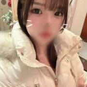 ヒメ日記 2026/01/15 01:47 投稿 ねこ 電マナイザー イラマチオン