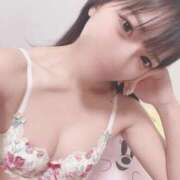 ヒメ日記 2026/01/19 22:12 投稿 ねこ 電マナイザー イラマチオン