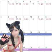 ヒメ日記 2026/01/23 22:27 投稿 ねこ 電マナイザー イラマチオン