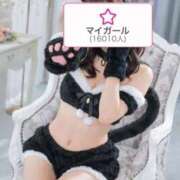 ヒメ日記 2026/01/25 19:47 投稿 ねこ 電マナイザー イラマチオン