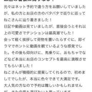 ヒメ日記 2026/02/08 19:37 投稿 ねこ 電マナイザー イラマチオン