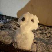 ヒメ日記 2026/02/08 20:15 投稿 ねこ 電マナイザー イラマチオン