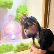 ヒメ日記 2026/02/23 12:27 投稿 ねこ 電マナイザー イラマチオン