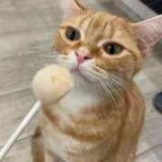 ヒメ日記 2026/03/09 09:27 投稿 ねこ 電マナイザー イラマチオン