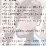 ヒメ日記 2026/03/09 19:40 投稿 ねこ 電マナイザー イラマチオン