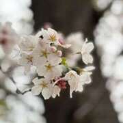 ヒメ日記 2026/04/05 19:57 投稿 ねこ 電マナイザー イラマチオン