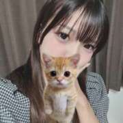 ヒメ日記 2026/04/15 19:11 投稿 ねこ 電マナイザー イラマチオン