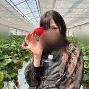 ヒメ日記 2026/05/13 19:47 投稿 ねこ 電マナイザー イラマチオン