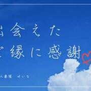 せいな 感謝 甲府人妻隊