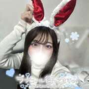 ヒメ日記 2025/04/14 14:05 投稿 凛十-Rito- 姉新地