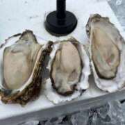 ヒメ日記 2025/10/22 18:29 投稿 むぎ マリン千姫