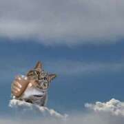 ヒメ日記 2025/02/28 16:43 投稿 遥香 ミセスハンドセラピー