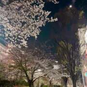 ヒメ日記 2025/04/05 16:59 投稿 遥香 ミセスハンドセラピー