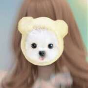 ヒメ日記 2025/04/12 17:00 投稿 遥香 ミセスハンドセラピー