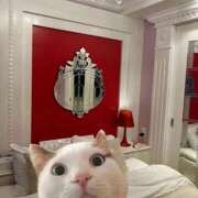 ヒメ日記 2025/04/18 15:43 投稿 遥香 ミセスハンドセラピー