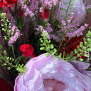 ヒメ日記 2025/05/10 16:55 投稿 遥香 ミセスハンドセラピー