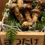 ヒメ日記 2025/05/30 15:58 投稿 遥香 ミセスハンドセラピー