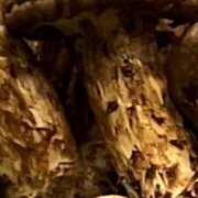 ヒメ日記 2025/06/21 00:45 投稿 遥香 ミセスハンドセラピー