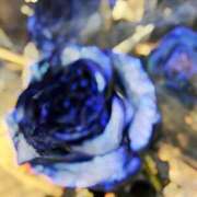 ヒメ日記 2025/07/21 09:26 投稿 遥香 ミセスハンドセラピー