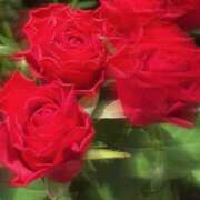 ヒメ日記 2025/08/24 11:28 投稿 遥香 ミセスハンドセラピー