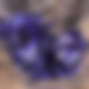 ヒメ日記 2025/08/27 08:37 投稿 遥香 ミセスハンドセラピー