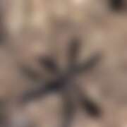 ヒメ日記 2025/08/31 11:00 投稿 遥香 ミセスハンドセラピー