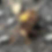 ヒメ日記 2025/11/20 19:40 投稿 遥香 ミセスハンドセラピー