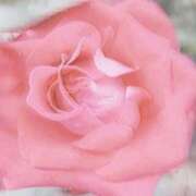 ヒメ日記 2025/11/21 13:00 投稿 遥香 ミセスハンドセラピー