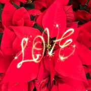 遥香 祝福♡ ミセスハンドセラピー