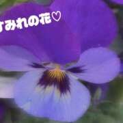 ヒメ日記 2025/12/08 10:25 投稿 遥香 ミセスハンドセラピー