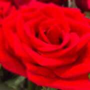 ヒメ日記 2026/02/15 15:07 投稿 遥香 ミセスハンドセラピー