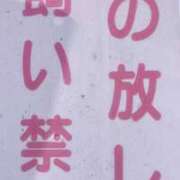 ヒメ日記 2026/02/20 14:15 投稿 遥香 ミセスハンドセラピー