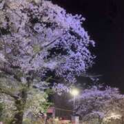 ヒメ日記 2026/04/04 12:30 投稿 遥香 ミセスハンドセラピー