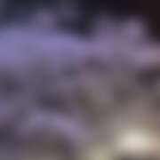 ヒメ日記 2026/04/07 11:00 投稿 遥香 ミセスハンドセラピー