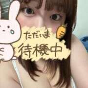 ヒメ日記 2026/07/31 20:39 投稿 リク【FG系列】 デリぽちゃin柏（FG系列）
