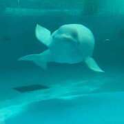 ヒメ日記 2025/01/13 10:26 投稿 みゆう クラブKG