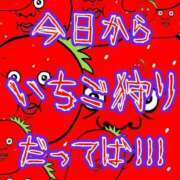 ヒメ日記 2024/12/02 14:44 投稿 ひなた 人妻倶楽部 内緒の関係 大宮店