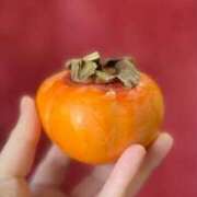 ヒメ日記 2024/12/12 13:54 投稿 ひなた 人妻倶楽部 内緒の関係 大宮店