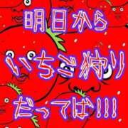 ヒメ日記 2025/11/12 21:54 投稿 ひなた 人妻倶楽部 内緒の関係 大宮店