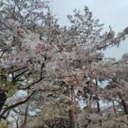 ヒメ日記 2026/04/05 18:34 投稿 ひなた 人妻倶楽部 内緒の関係 大宮店