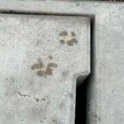 ヒメ日記 2025/06/19 07:22 投稿 さき マリン千葉店