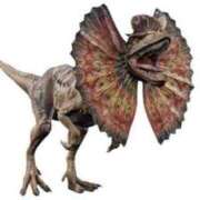 ヒメ日記 2025/08/11 18:52 投稿 さき マリン千葉店