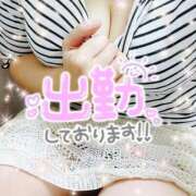 ヒメ日記 2025/07/13 15:10 投稿 しょう 西船人妻花壇