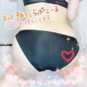 ヒメ日記 2025/08/14 21:10 投稿 しょう 西船人妻花壇