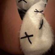 ヒメ日記 2024/12/20 15:31 投稿 かりな パリス雄琴店