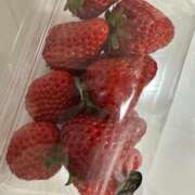 ヒメ日記 2025/03/19 13:12 投稿 かりな パリス雄琴店