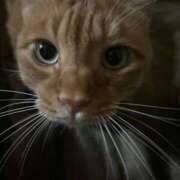 ヒメ日記 2025/07/01 22:36 投稿 みく お姉さんSelect