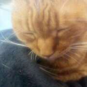 ヒメ日記 2025/07/12 19:56 投稿 みく お姉さんSelect