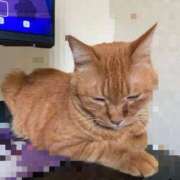 ヒメ日記 2025/09/20 17:35 投稿 みく お姉さんSelect